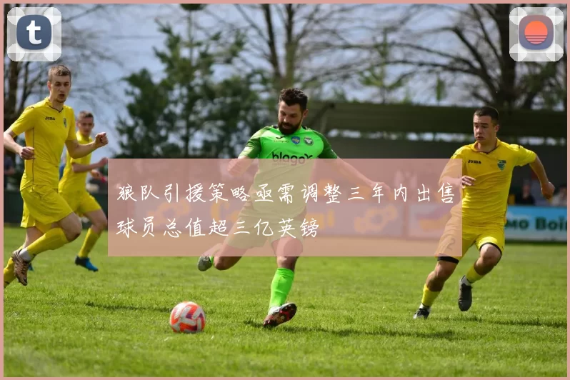 狼队引援策略亟需调整三年内出售球员总值超三亿英镑